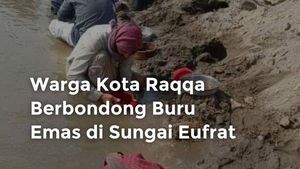 Video Warga Kota Raqqa Berbondong Buru Emas di Sungai Eufrat