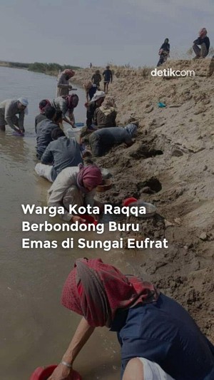 Video Warga Kota Raqqa Berbondong Buru Emas di Sungai Eufrat