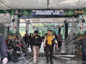 Nasib Bayi Satwa Eksotik Bandung Zoo di Balik Kisruh Dualisme