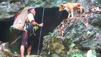 Sesampainya di lokasi, pengunjung akan disambut goa-goa karst yang megah. Di dalamnya, terdapat stalaktit dan stalakmit yang memukau, serta peti mati kuno yang tersimpan di dalam goa.