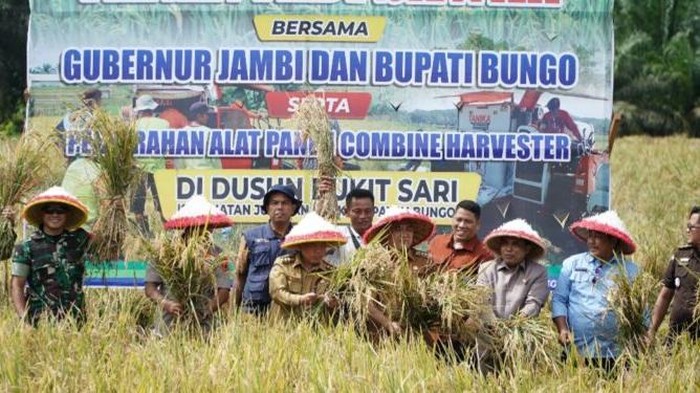 Gubernur Jambi Al Haris saat jalani panen raya di Bungo Jambi
