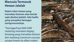 Hukum Konsumsi Ikan Lele yang Makan Kotoran Manusia