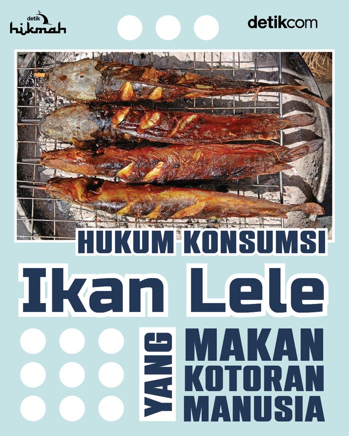 Infografis