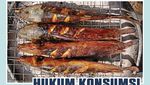 Hukum Konsumsi Ikan Lele yang Makan Kotoran Manusia