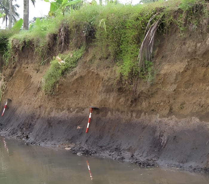 Jejak tsunami selatan Jawa.