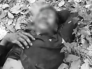Viral Petani di Musi Rawas Kritis, Diduga Diserang Beruang