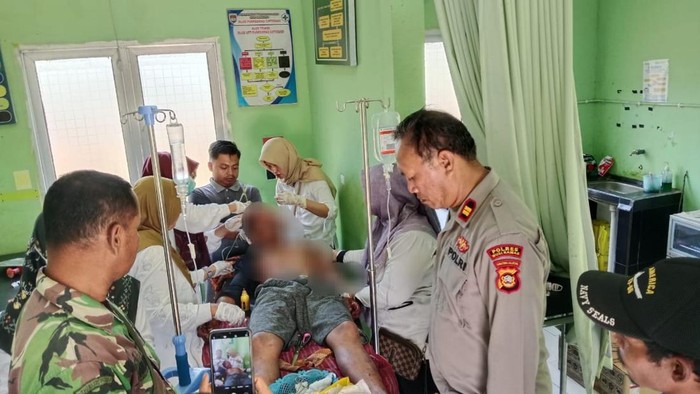 Petani karet di Musi Rawas kritis akibat diserang beruang
