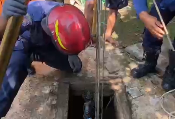 Petugas Damkar Kabupaten Bogor evakuasi kucing tercebur sumur di Cibinong, Bogor, Rabu (6/8/2025).