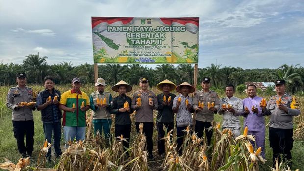 Polsek Bukit Kapur, Polres Dumai panen raya jagung di lahan seluas 1 hektare, Selasa (5/8/2025).