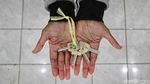 Warga Kampung Bayam Akhirnya Tempati Hunian JIS
