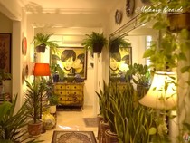 Bikin Rumah Serasa Hutan Mini, Begini Caranya!