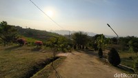 Pemandangan terasering sawah di Side Land Kaduela Kuningan.