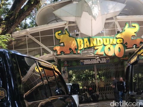 Suasana Bandung Zoo setelah penutupan operasional sementara