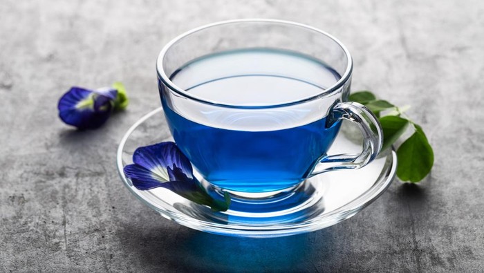 Butterfly pea blue pea flower herbal tea in a glass cup for healthy drinking on grey concrete background.