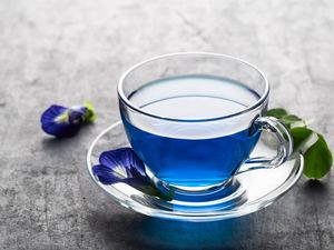 Ini Waktu Terbaik Minum Teh Bunga Telang dan Deretan Manfaatnya