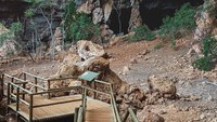 Ngarai Sungai Peruacu berada di negara bagian Minas Gerais, Brasil. Ngarai Sungai Peruacu resmi ditetapkan sebagai Situs Warisan Alam Dunia UNESCO pada 13 Juli 2025. Kawasan itu dipenuhi gua-gua purba, formasi batuan spektakuler, dan lukisan cadas yang berusia hingga 12.000 tahun. Di dalamnya terdapat lebih dari 250 gua, menjadikan taman nasional ini sebagai salah satu situs arkeologi dan geologi terpenting di Brasil. (Evandro Pereira/AFP)