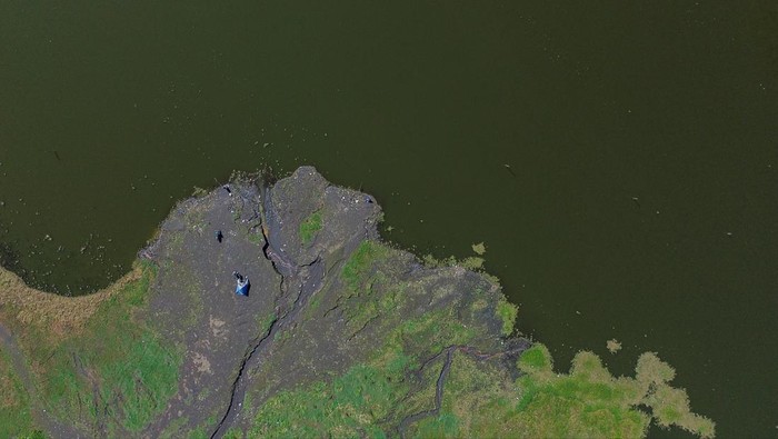 Foto udara kondisi danau Ranu Pani menyusut menjadi 3,4 hektare dari sebelumnya 5,9 hektare di Kawasan Taman Nasional Bromo Tengger Semeru (TNBTS), Lumajang, Jawa Timur, Kamis (7/8/2025). Balai Besar TNBTS melakukan pengerukan lumpur, pembuatan sedimen trap dan pemulihan vegetasi riparian sebagai bagian dari upaya pemulihan ekosistem danau di wilayah tersebut karena mengalami pendangkalan akibat sedimentasi dari erosi lahan pertanian. ANTARA FOTO/Irfan Sumanjaya/agr