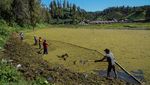 Danau Ranu Pani Dipulihkan dari Ancaman Pendangkalan