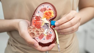 4 Kebiasaan di Pagi Hari yang Bikin Ginjal Rusak, Nomor 1 dan 2 Sering Dilakukan