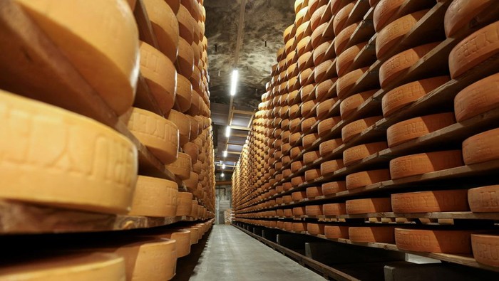 Industri Keju Swiss Tercekik Tarif Trump Ageing Gruyere cheese wheels lie at the Margot Fromages family-owned maturing cellar in Yverdon-les-Bains, Switzerland, August 5, 2025. REUTERS/Manuel Ausloos