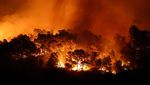 Kebakaran Hebat Kepung Hutan Prancis Selatan, Petugas Kewalahan