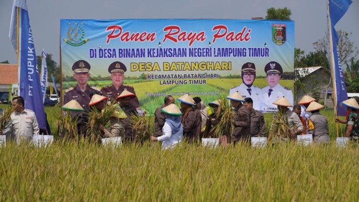 Kejati Lampung meluncurkan program Petani Mitra Adhyaksa untuk mendampingi ribuan petani padi di Lampung Timur
