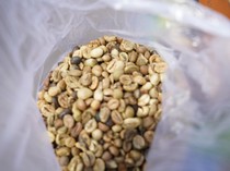 19,8 Ton Kopi Sumsel Diekspor ke Malaysia, Nilai Ekonominya Rp 1,2 Miliar