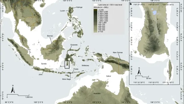 Peralatan batu berusia 1,5 juta tahun milik kerabat manusia misterius ditemukan di Sulawesi