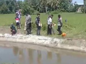 Geger Mayat Bayi Ditemukan Mengapung Dalam Saluran Irigasi di Polman