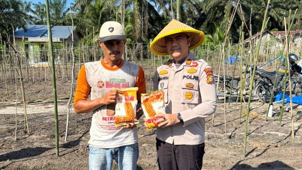 Polres Dumai dan Kelompok Tani melakukan penanaman jagung pipil demi mewujudkan ketahanan pangan nasional, Rabu (6/8/2025).