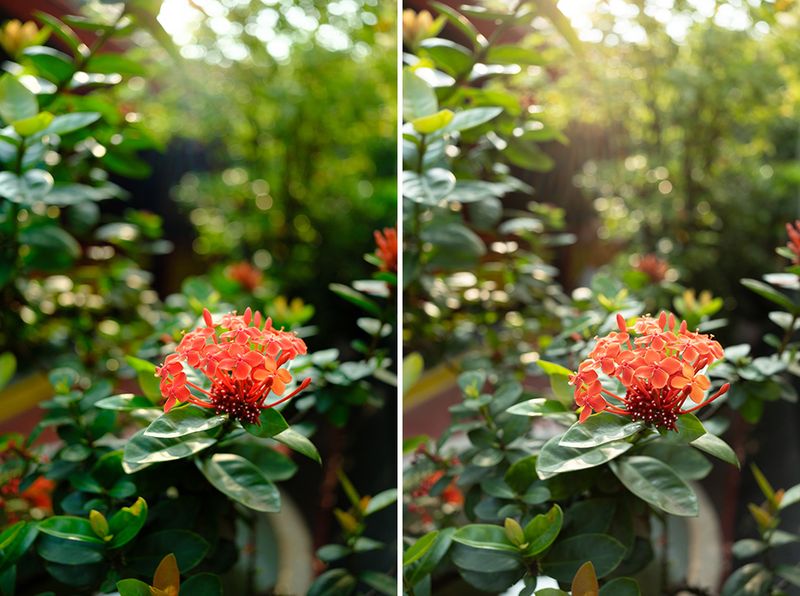 Review Lensa Fujinon 23mm f/2.8