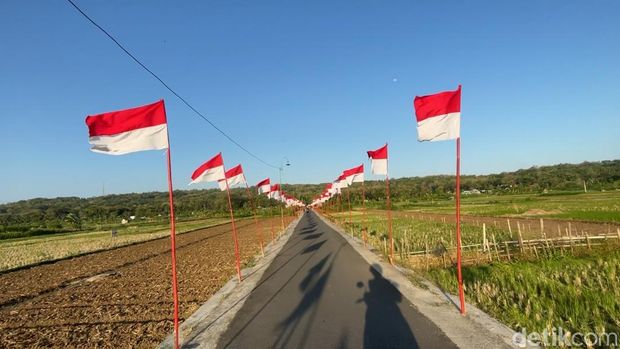 Suasana area sawah yang terpasang ribuan bendera merah putih di Dobangsan, Giripeni, Wates, Kulon Progo, Kamis (7/8/2025)
