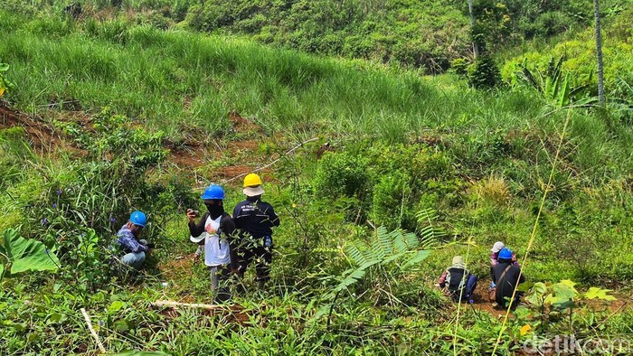 Tim tekhnis PLN melakukan aktivitas pengecekan titik tower di lahan milik PT Cakramas.