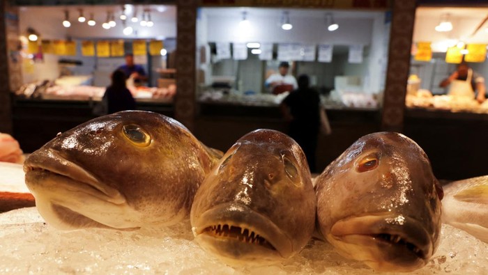 Workers select sardines as fishermen unload fish from their boats at a private port in Niteroi, near Rio de Janeiro, Brazil August 5, 2025. REUTERS/Ricardo Moraes