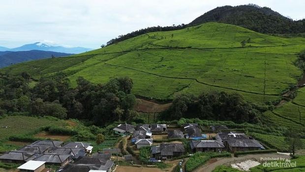 Kampung Barusel di Jabar Kampung Barusel di ketinggian sekitar 2.200 mdpl jadi kampung tertinggi di Jawa Barat. Sebagian menyebut sebagai kampung Brussel. Kampung Barusel berada di tengah-tengah hamparan perkebunan teh yang sangat luas. Perkebunan teh Rancabali.