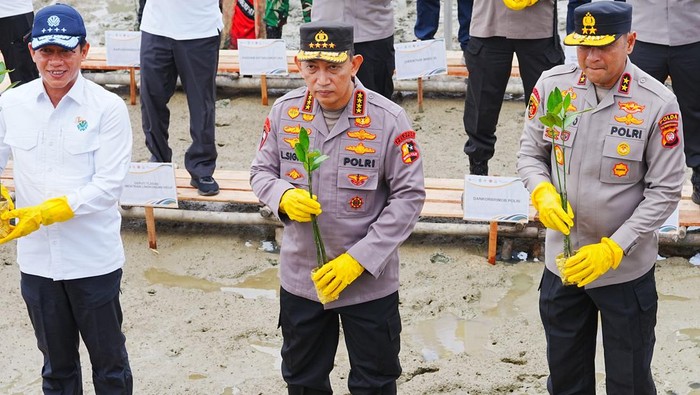 Kapolri-Menteri LH Tanam Mangrove di Kalbar