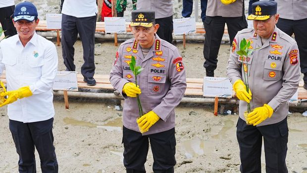 Kapolri-Menteri LH Tanam Mangrove di Kalbar
