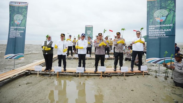 Kapolri-Menteri LH Tanam Mangrove di Kalbar