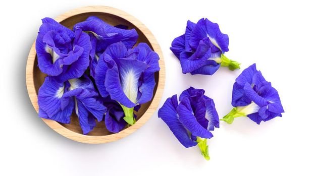 Butterfly pea flower or blue pea, bluebellvine, clitoria ternatea in wooden bowl isolated on white background. Top view. Flat lay.