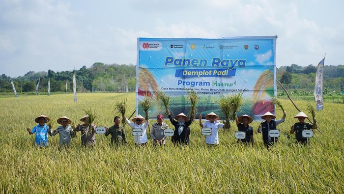 Panen raya di Bangka Selatan.