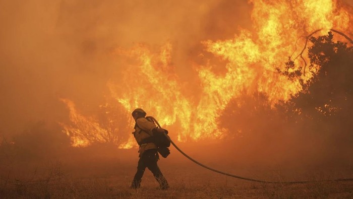 Petugas pemadam kebakaran AS memadamkan kebakaran hutan di area Hasley Canyon, Los Angeles. (AP Photo/Marcio Jose Sanchez)