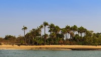 Kepulauan Bijagos di Guinea Bissau diakui sebagai Situs Warisan Dunia UNESCO pada Juli 2025. Situs ini mencakup ekosistem pesisir dan laut yang unik, termasuk hutan mangrove, dataran lumpur, dan zona intertidal, yang sangat penting bagi kehidupan akuatik. Kepulauan ini merupakan rumah bagi berbagai spesies, termasuk penyu hijau dan penyu belimbing yang terancam punah, serta manatee dan lebih dari 870.000 burung migrasi (Getty Images/iStockphoto/Tiago_Fernandez)