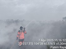Tim Padamkan Karhutla di Ogan Ilir, Lokasi Terbakar Lahan Bergambut