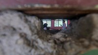 Saat ini di sekolah tersebut hanya tersedia enam ruang kelas, sedangkan terdapat tujuh rombongan belajar (rombel). Foto: ANTARA FOTO/YULIUS SATRIA WIJAYA