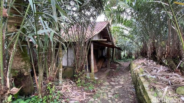 Suasana Dusun Praguman viral disebut Kampung Mati di Banjarnegara. Kampung ini ternyata ditinggalkan gegara tanah gerak. Foto diunggah Jumat (8/8/2025).