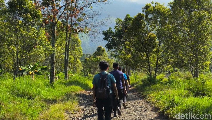 Suasana jalur hiking dan pemandangan Bukit Lambosir Kuningan.