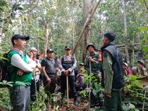 BKSDA Sumsel Temukan 2 Sarang Beruang yang Serang Petani di Musi Rawas