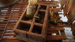 Potret Desa Beleq, Desa Adat Tertua Suku Sasak