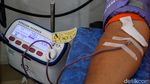Donor Darah Sambut HUT ke-80 RI, Targetkan 200 Kantong