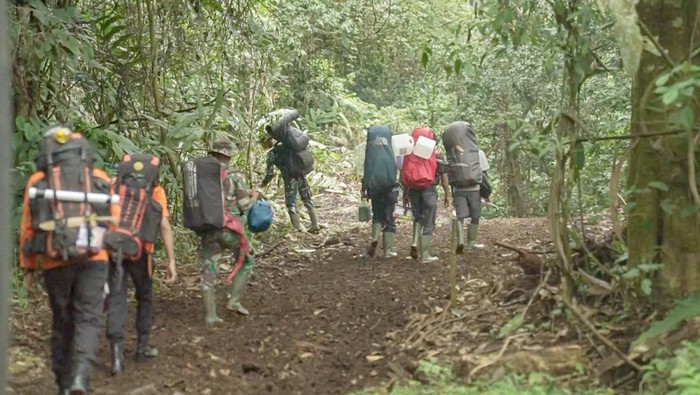 Proses pembersihan jalur pendakian Gunung Kerinci via Solok Selatan
